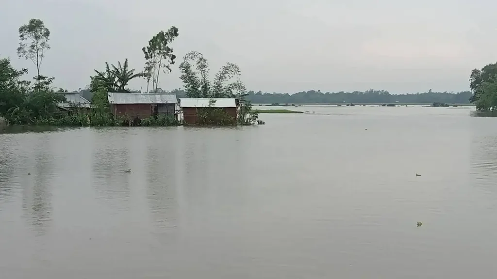 টানা বৃষ্টি ও পাহাড়ি ঢলে মৌলভীবাজারে ৪০টি গ্রাম প্লাবিত