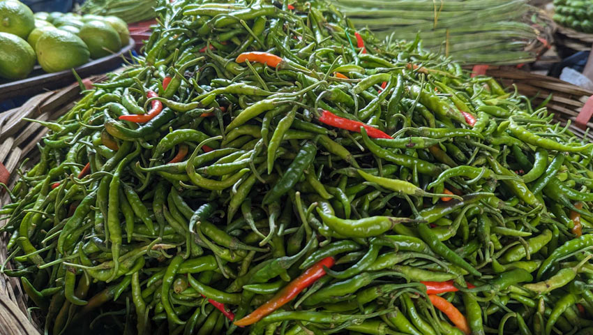 ঢাকায় কাঁচা মরিচের ডাবল সেঞ্চুরি
