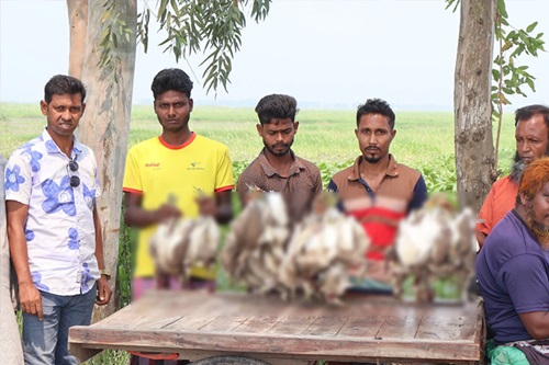 সিংড়ায় ৫০ বক জবাই, তিন শিকারির কারাদণ্ড